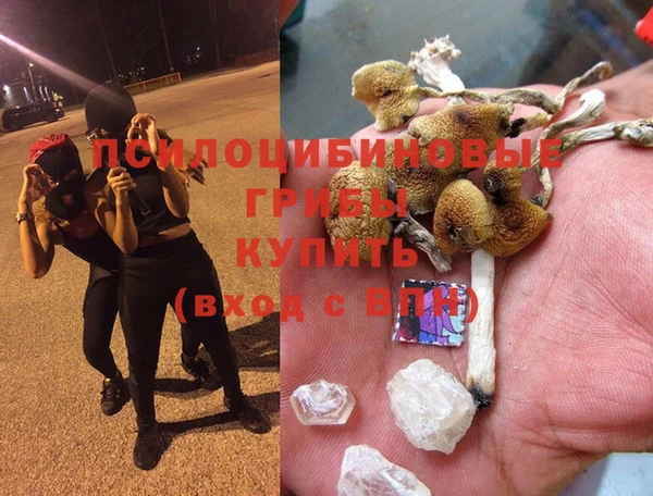 PSILOCYBIN Магадан