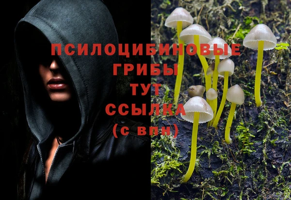 эйфоретик Наволоки