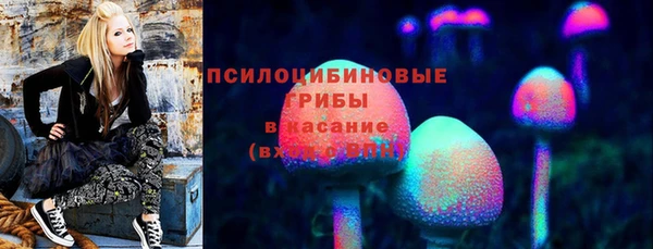 ПСИЛОЦИБИНОВЫЕ ГРИБЫ Липки