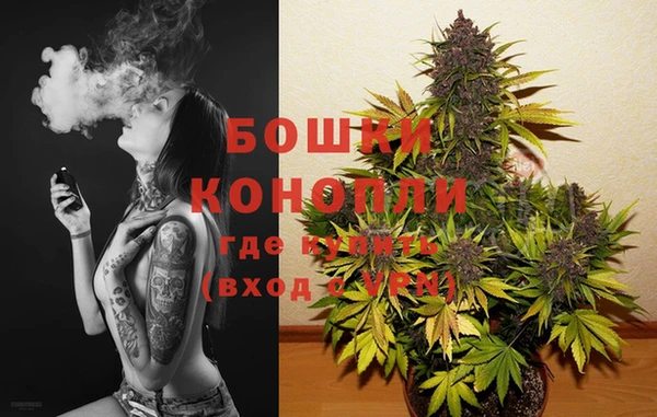 PSILOCYBIN Магадан